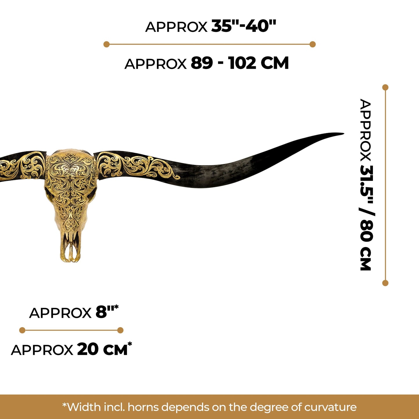 Longhorn Skull // XL Horns - Oriental Gold Metallic