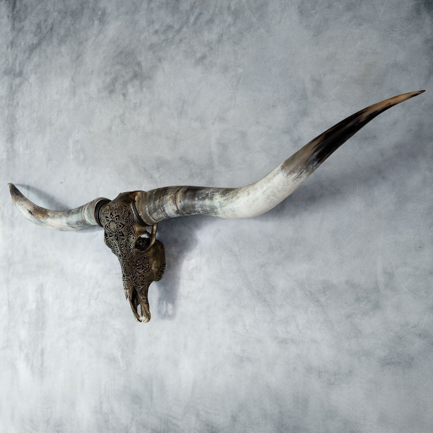 Hand Carved Longhorn Skull // XL Horns - Antique Bronze Mandala // Metallic Finish
