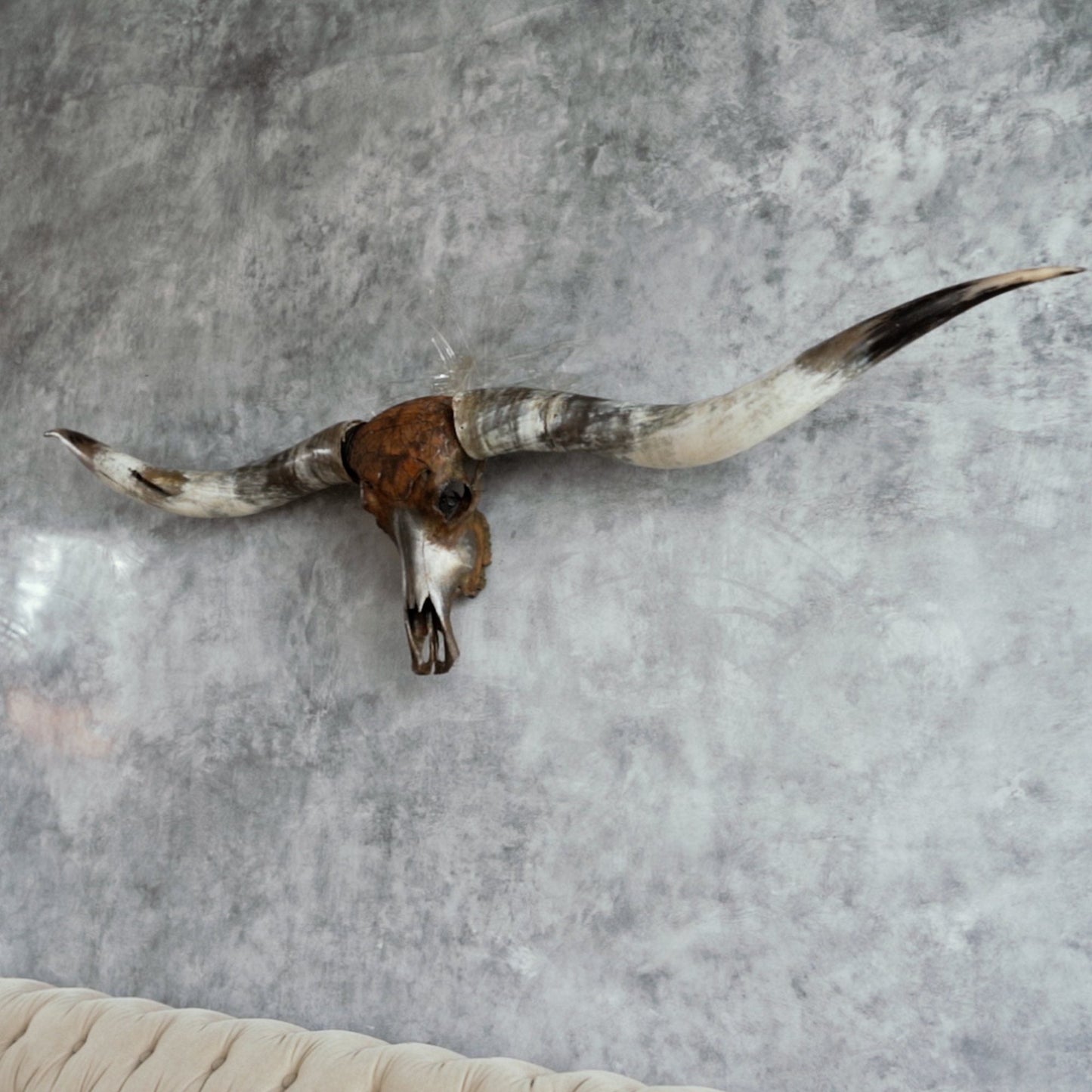 Hand Carved Longhorn Skull // XL Horns - Gray Mandala