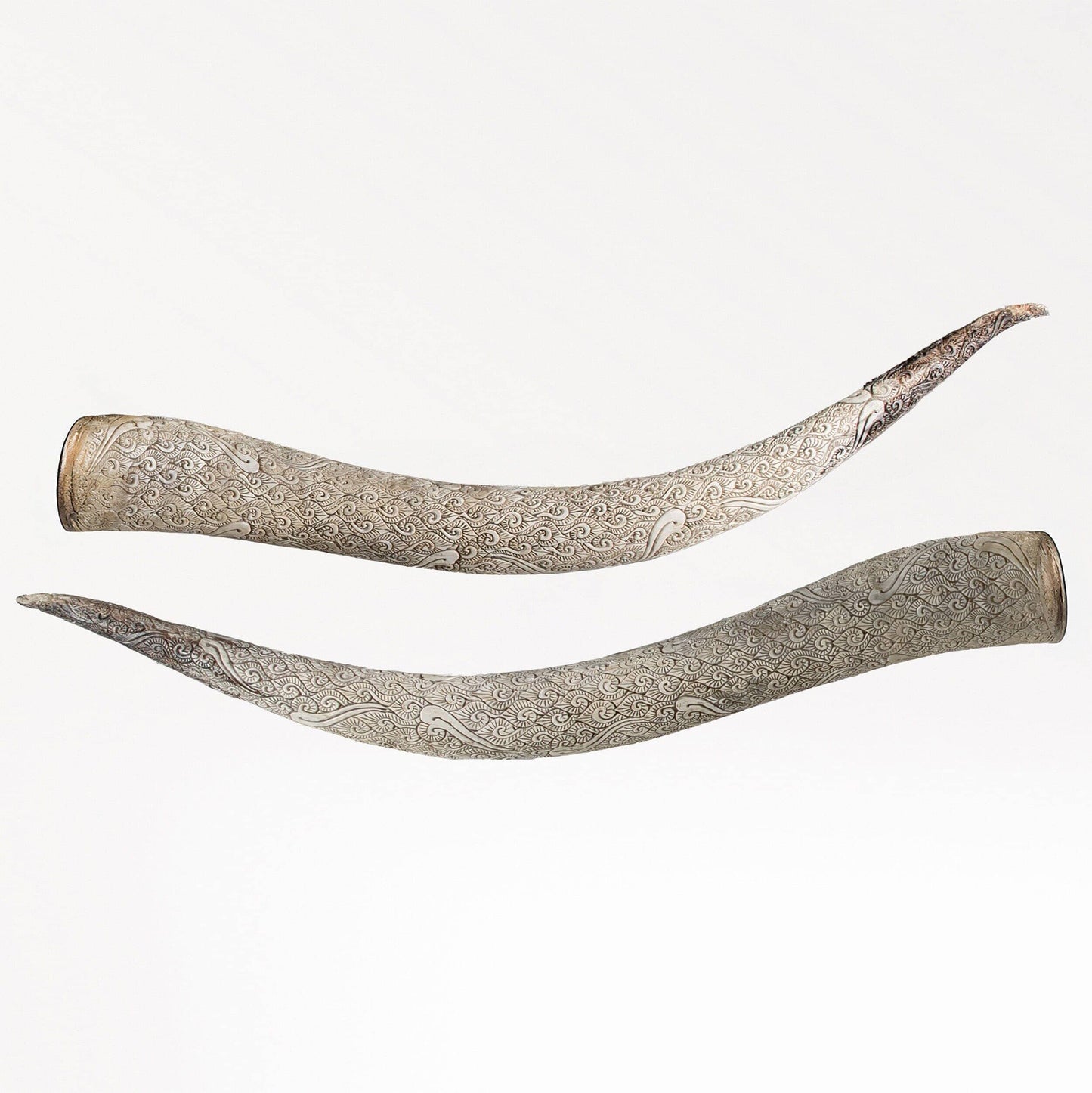 Longhorn Skull // XL Horns - Gray Storm