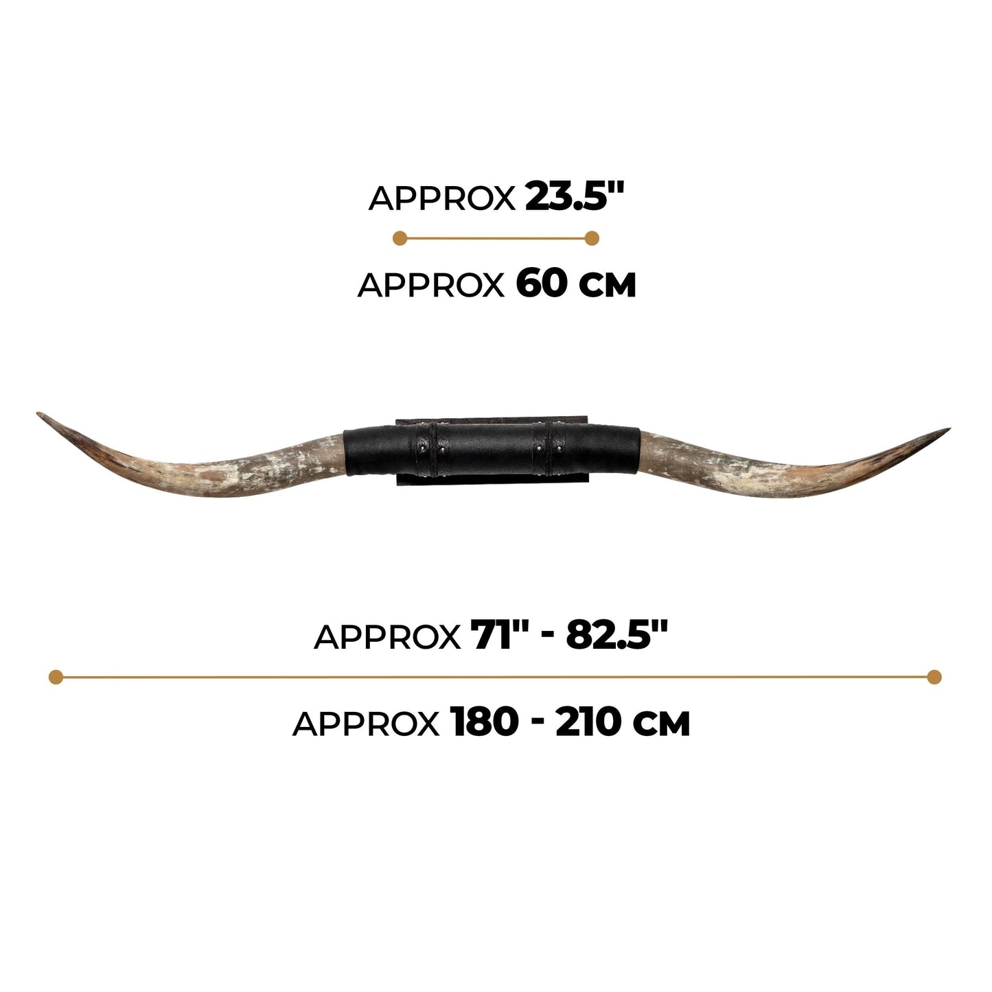 Black Leather Mount // Standard Longhorns - Big Gun