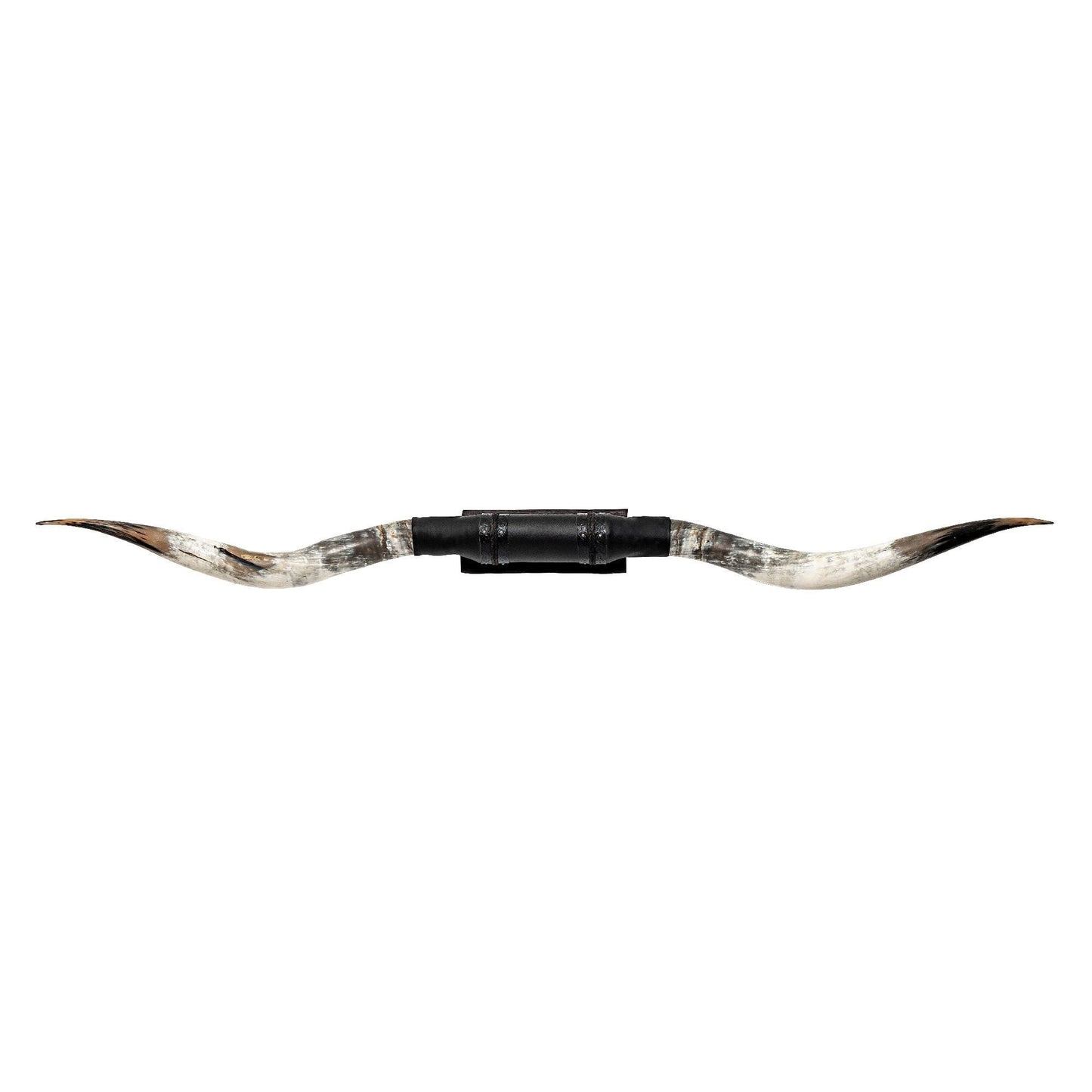 Black Leather Mount // XL Longhorns - Tracker