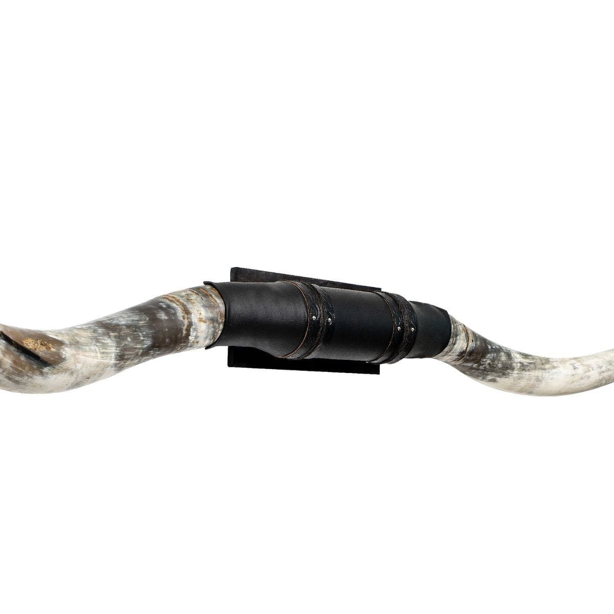 Black Leather Mount // XL Longhorns - Tracker