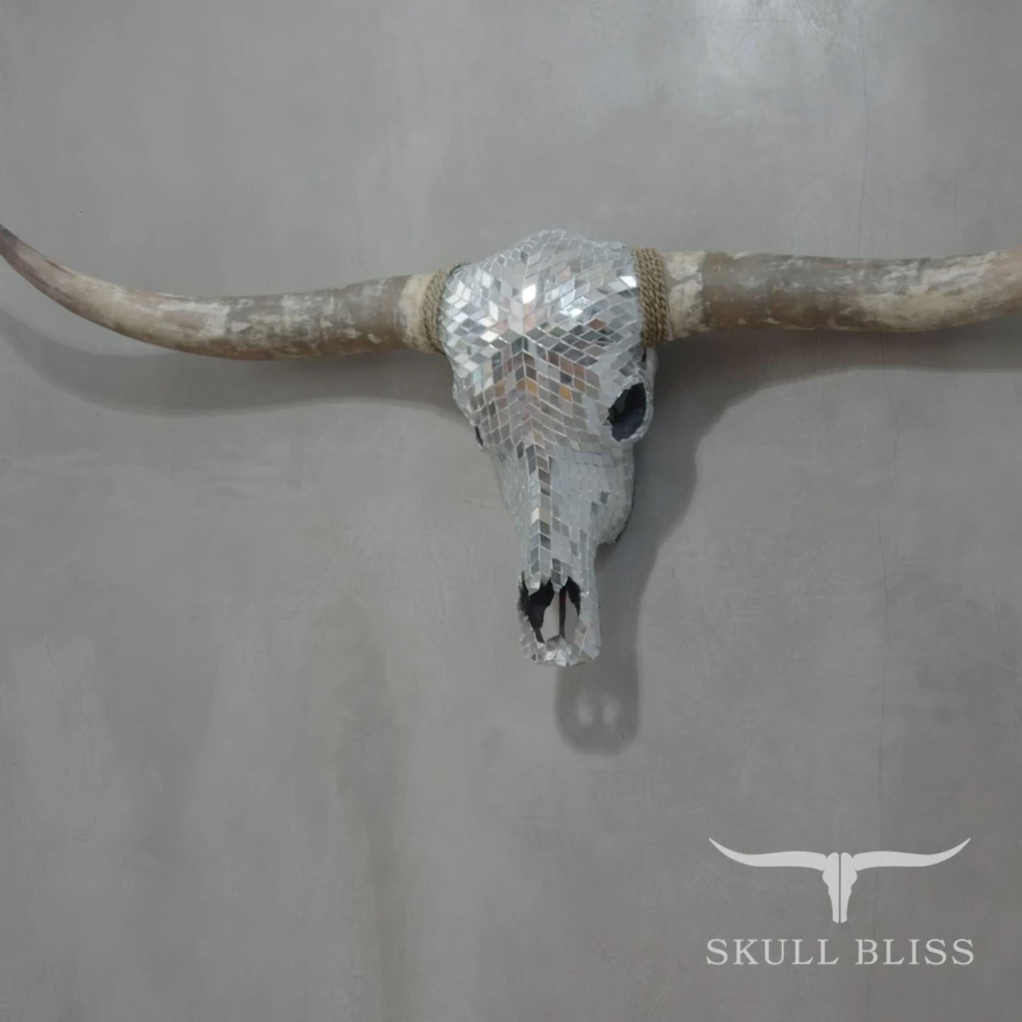 Longhorn Skull - Mirror // Mosaic Finish