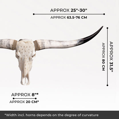 Hand Carved Longhorn Skull - White Feathers
