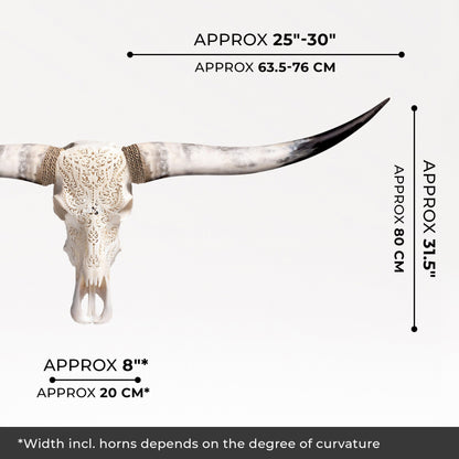 Hand Carved Longhorn Skull - White Titan