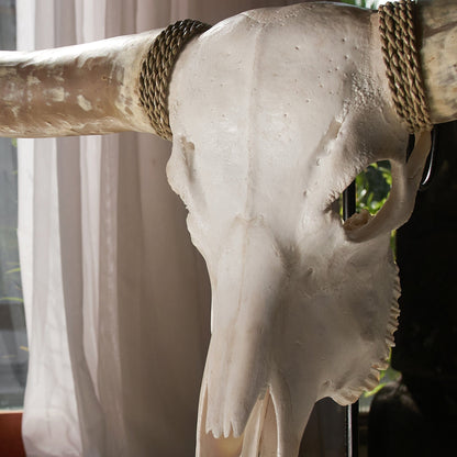 Longhorn Skull - White Storm