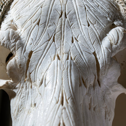 Hand Carved Longhorn Skull - White Feathers
