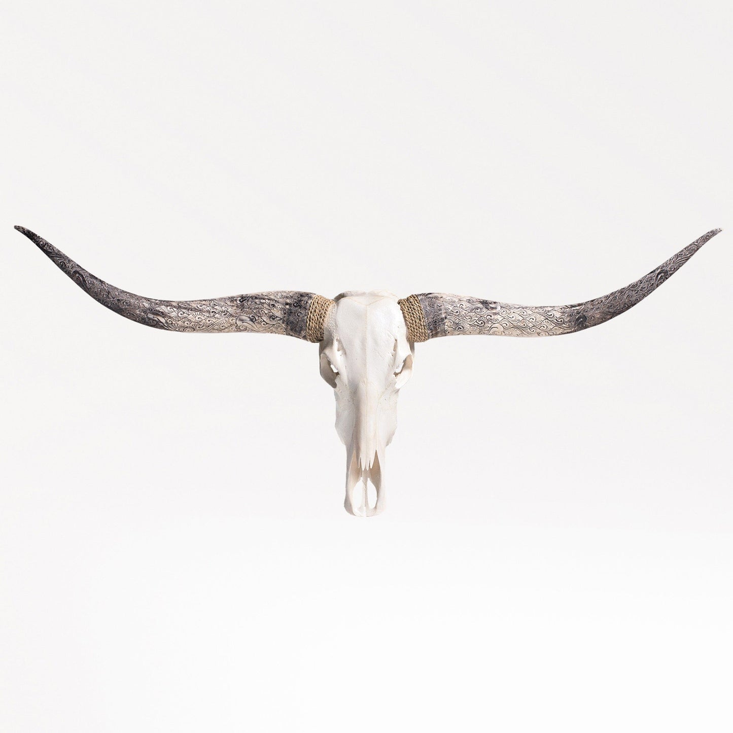 Longhorn Skull - White Storm