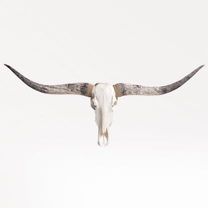 Longhorn Skull - White Storm