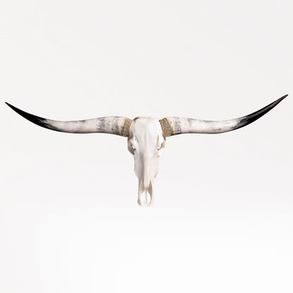 Longhorn Skull - White Storm