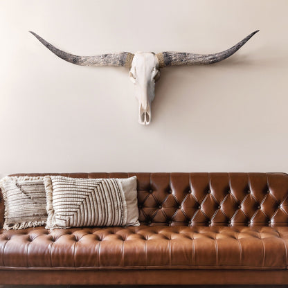 Longhorn Skull - White Storm
