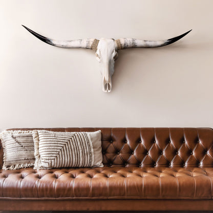 Longhorn Skull - White Storm