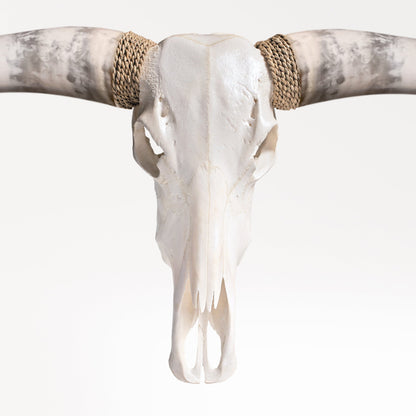 Longhorn Skull - White Storm