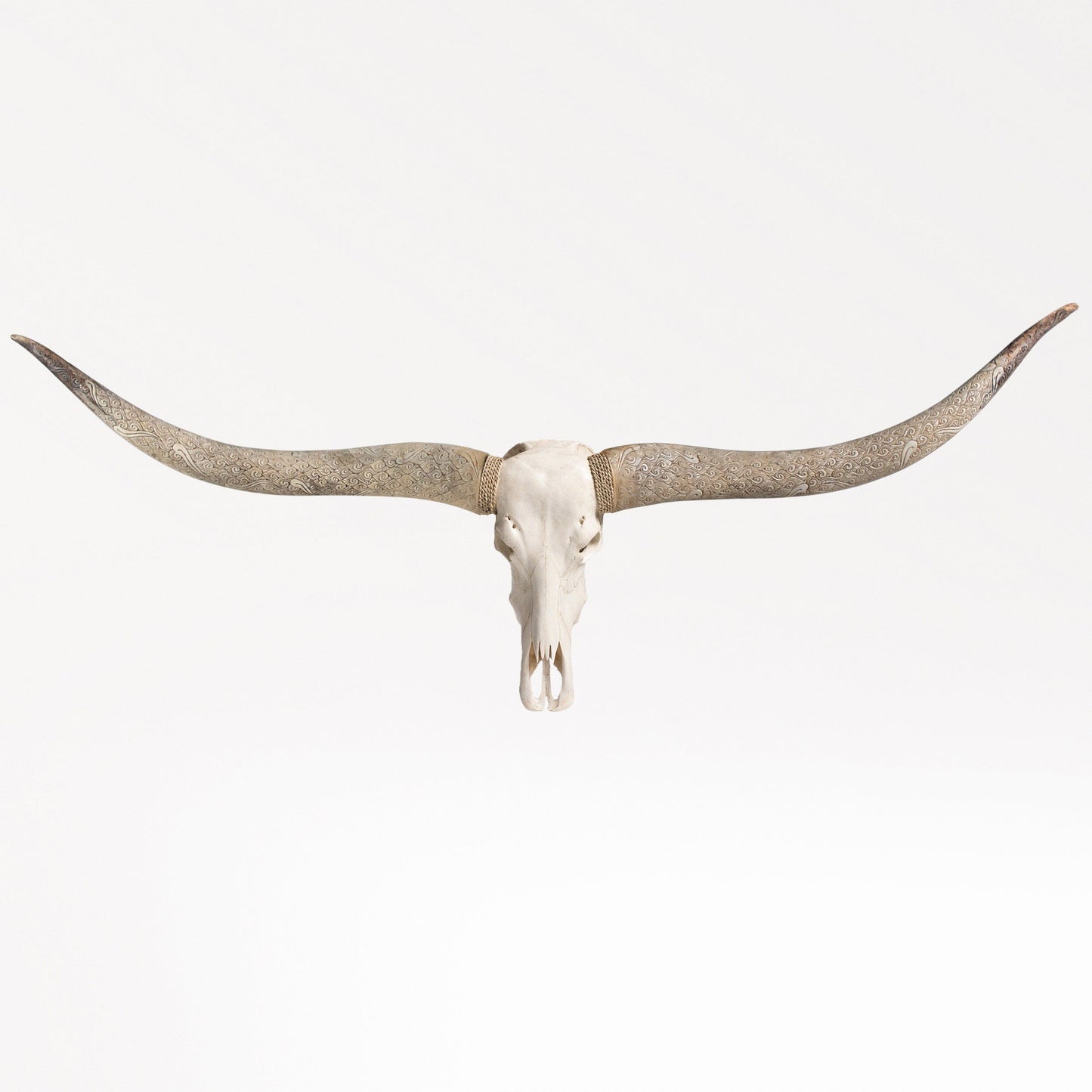 Longhorn Skull // XL Horns - White Storm