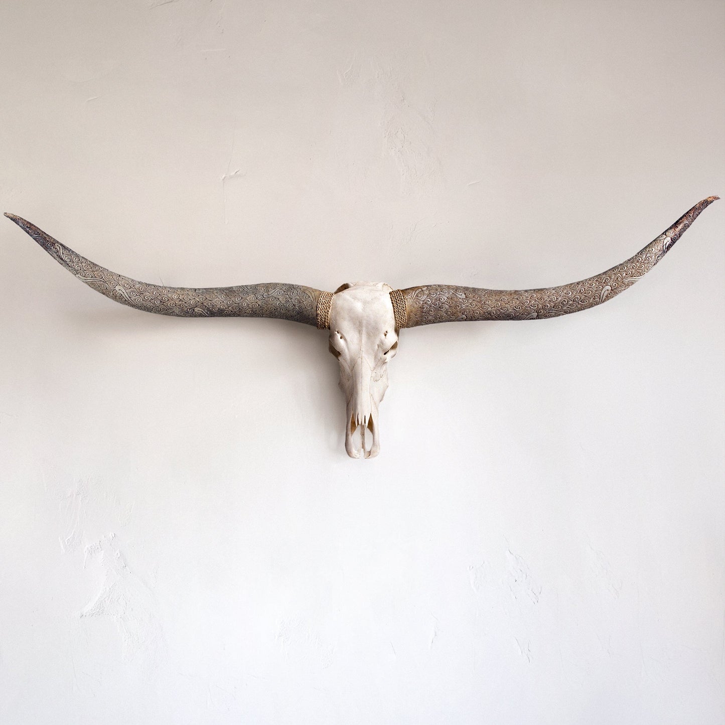 Longhorn Skull // XL Horns - White Storm