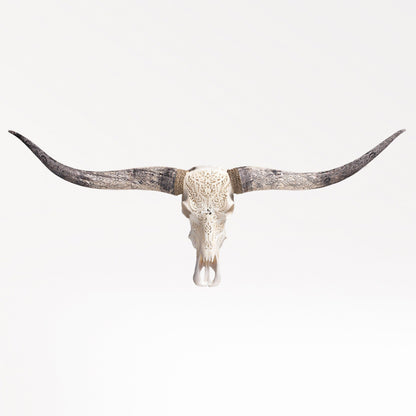 Hand Carved Longhorn Skull - White Titan