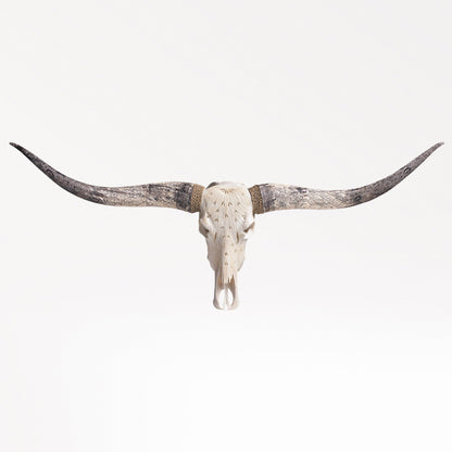 Hand Carved Longhorn Skull - White Feathers