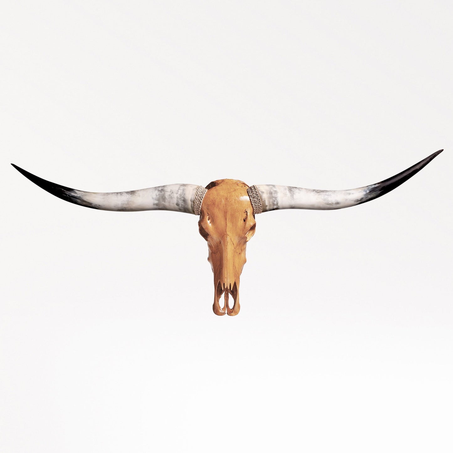 Longhorn Skull - Antique Storm