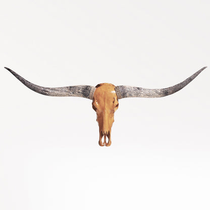 Longhorn Skull - Antique Storm