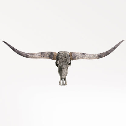 Hand Carved Longhorn Skull - Gray Mandala