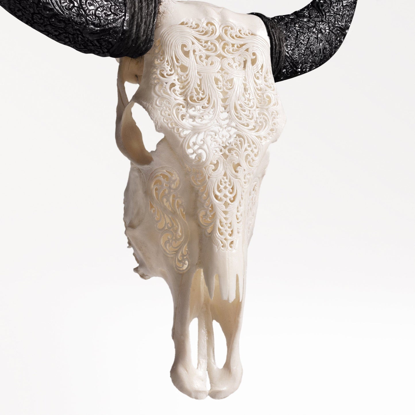 Hand Carved Cow Skull - White Titan