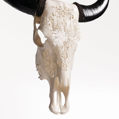 Hand Carved Cow Skull - White Titan