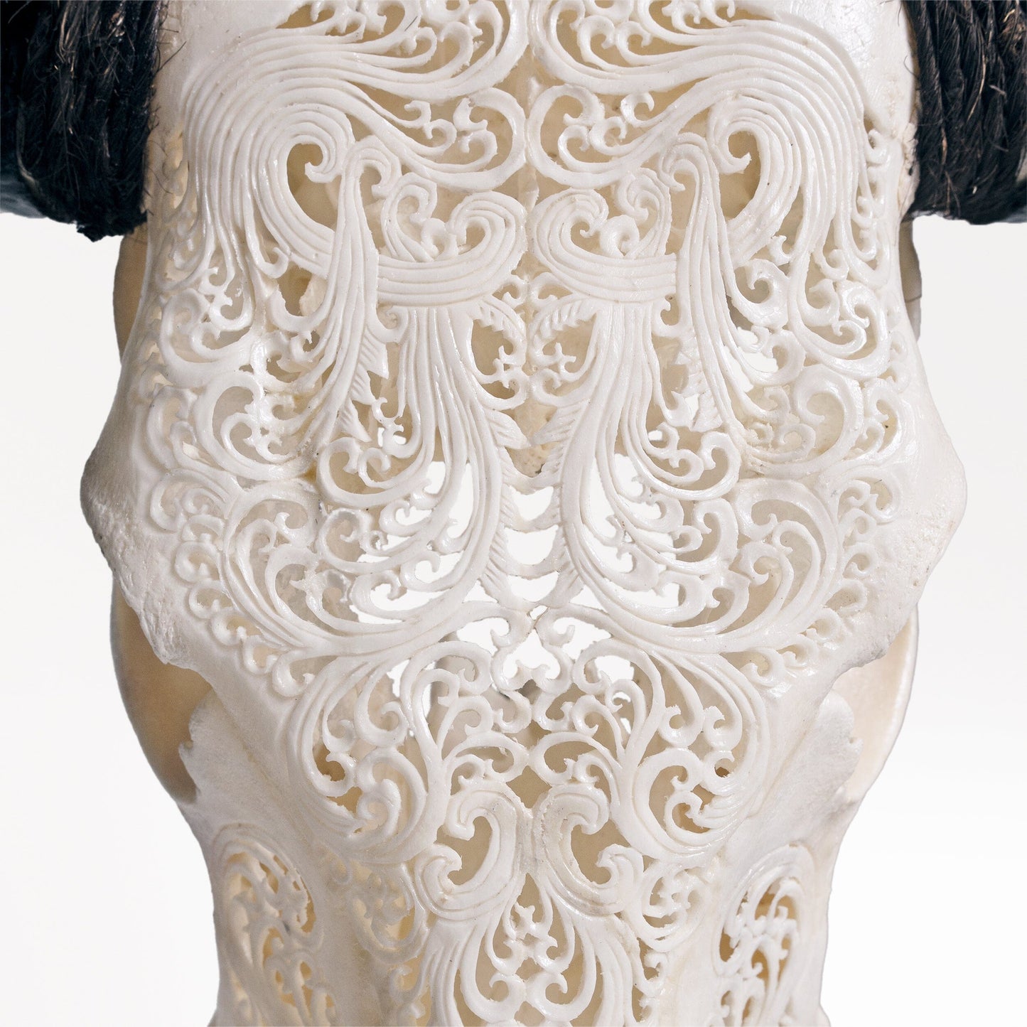 Hand Carved Cow Skull - White Titan