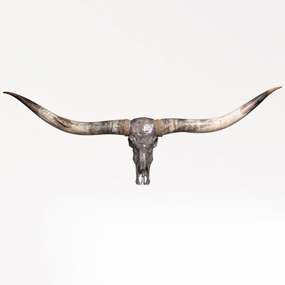 Longhorn Skull // XL Horns - Gray Storm
