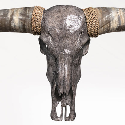 Longhorn Skull // XL Horns - Gray Storm