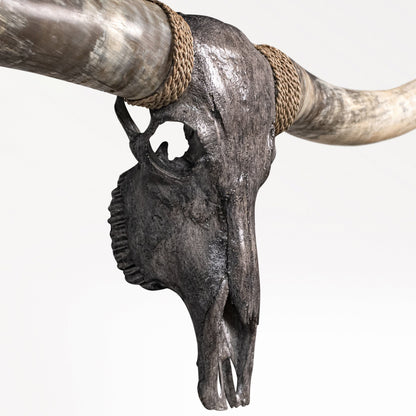 Longhorn Skull // XL Horns - Gray Storm