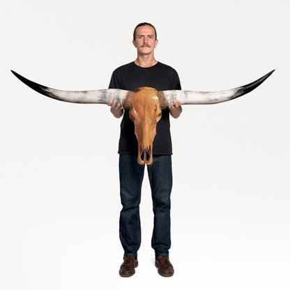 Longhorn Skull - Antique Storm