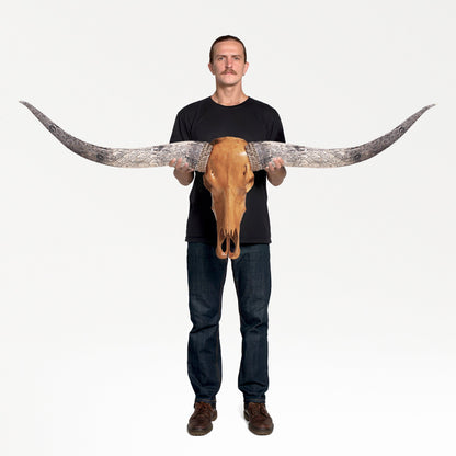 Longhorn Skull - Antique Storm