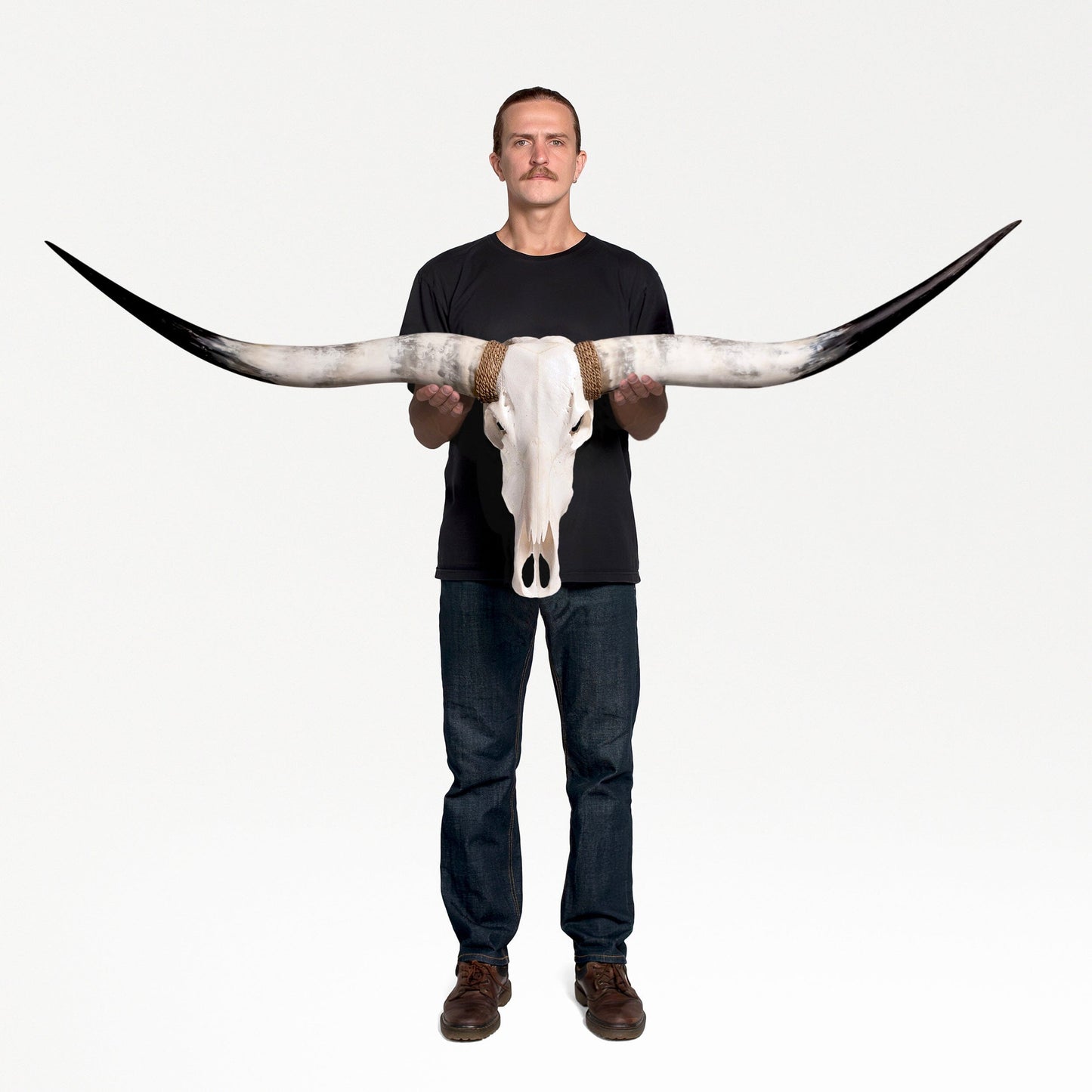 Longhorn Skull - White Storm