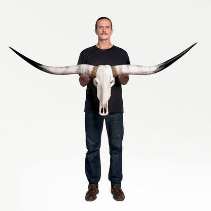 Longhorn Skull - White Storm