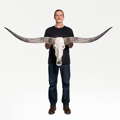 Longhorn Skull - White Storm