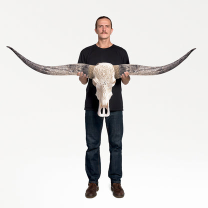 Hand Carved Longhorn Skull - White Titan
