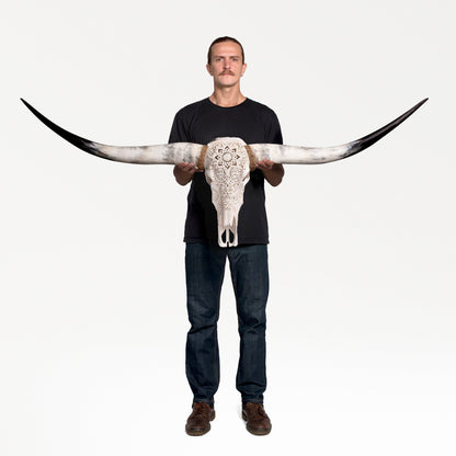 Hand Carved Longhorn Skull - White Mandala