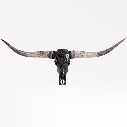Longhorn Skull - Black Mirror // Mosaic Finish