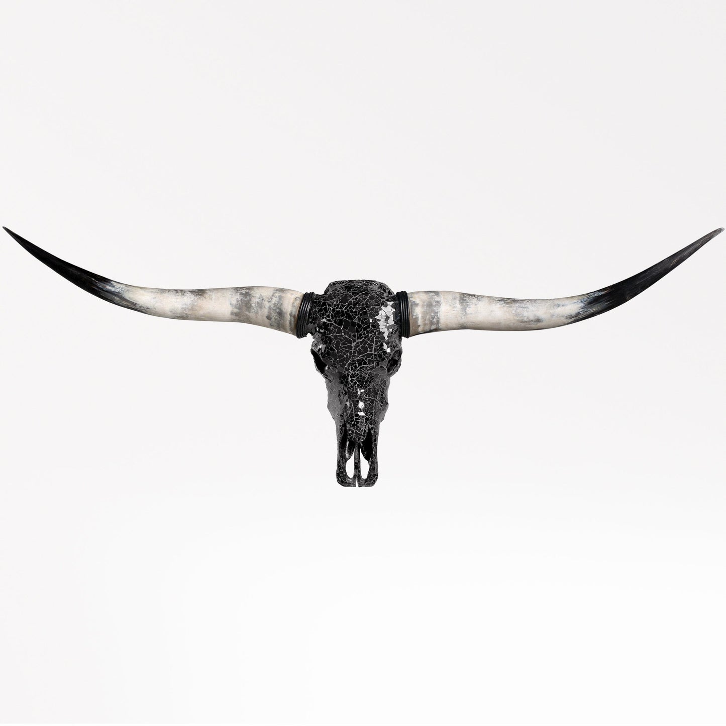 Longhorn Skull - Black Mirror // Mosaic Finish