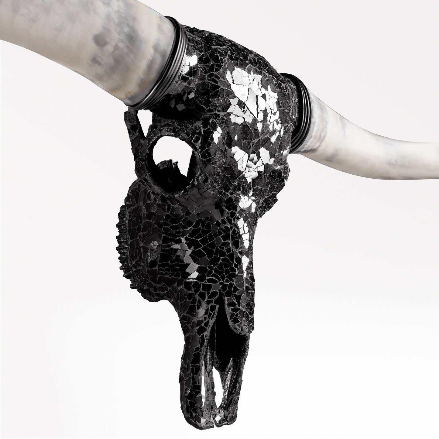 Longhorn Skull - Black Mirror // Mosaic Finish