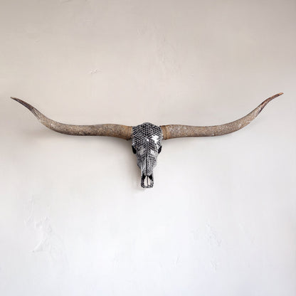 Longhorn Skull // XL Horns -  Mirror // Mosaic Finish