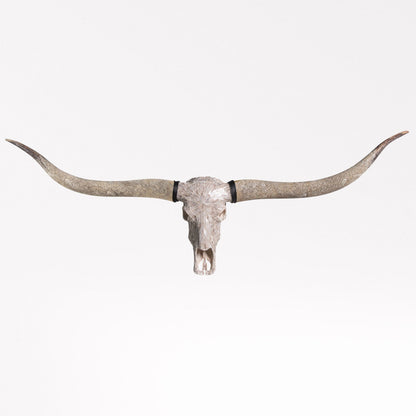 Longhorn Skull // XL Horns - Beige Mirror // Mosaic Finish