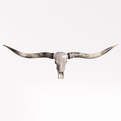 Longhorn Skull // XL Horns - Beige Mirror // Mosaic Finish