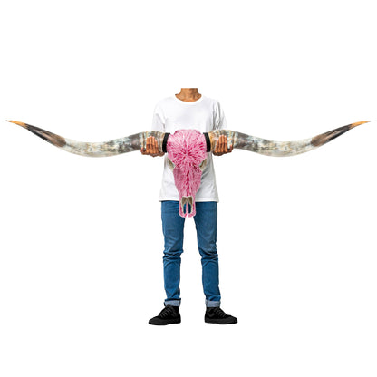 Longhorn Skull // XL Horns - Pink Mirror // Mosaic Finish