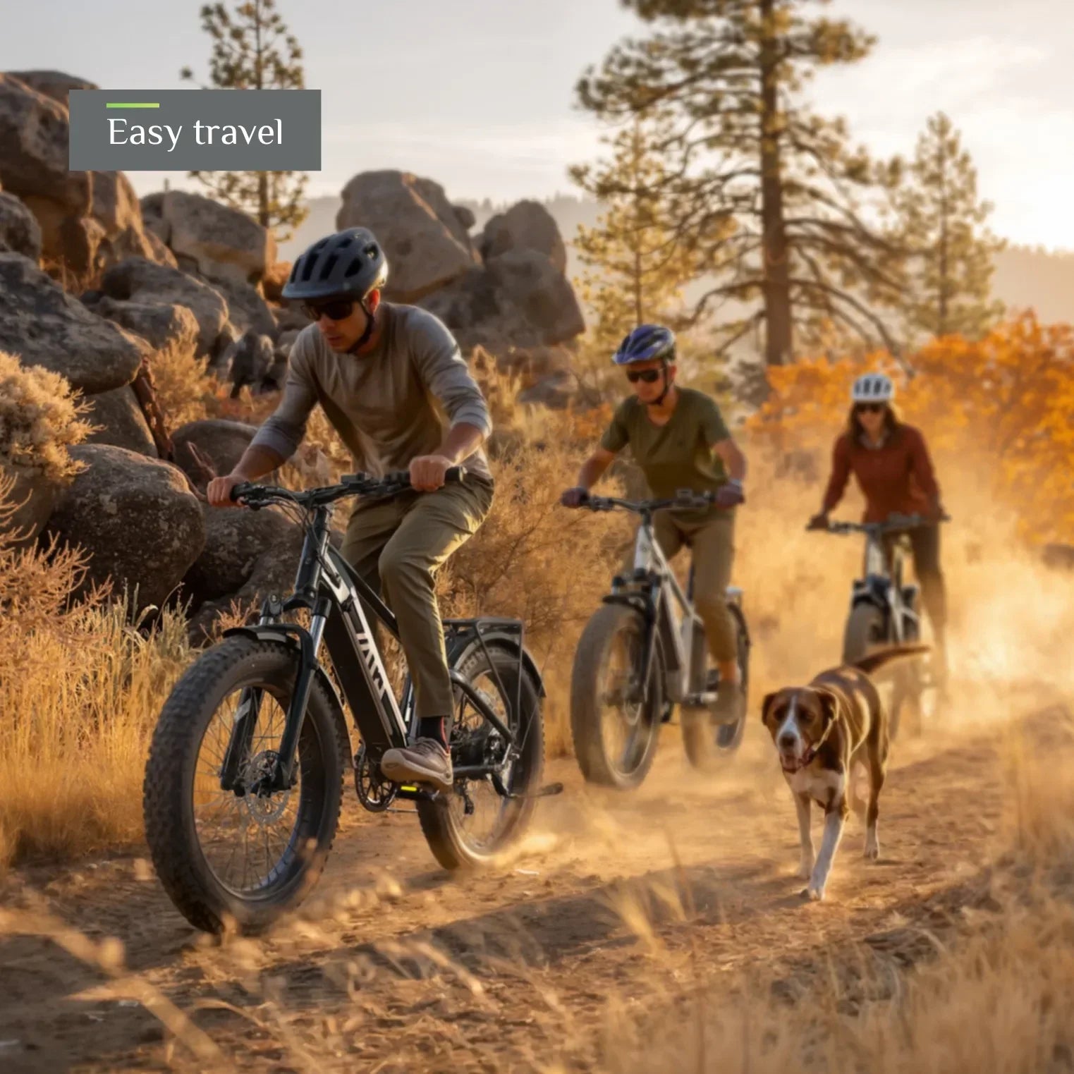 TST® Defender 26" Fat Tire Ebike For Adult