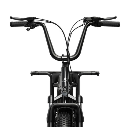 TST® Carrier 20'' Cargo Electric Bike
