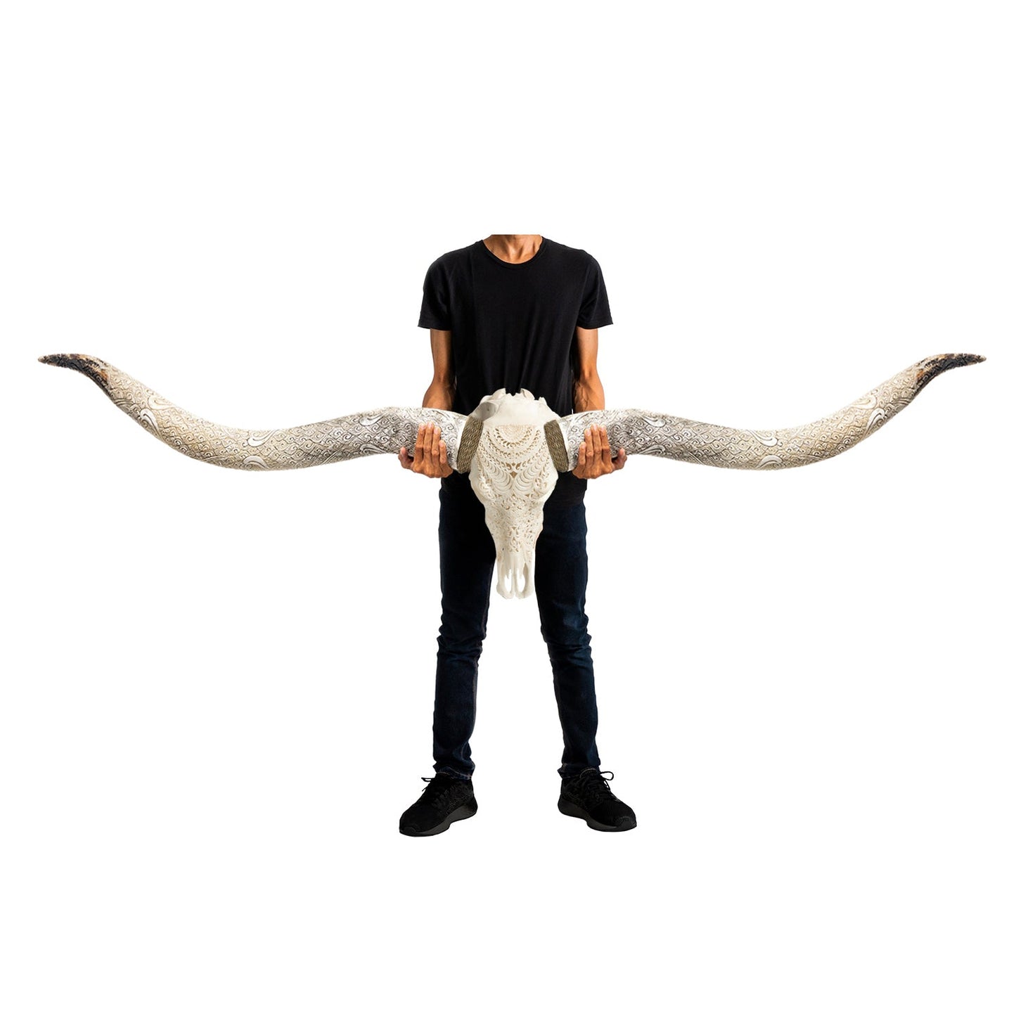 Hand Carved Longhorn Skull // XL Horns - White Boho