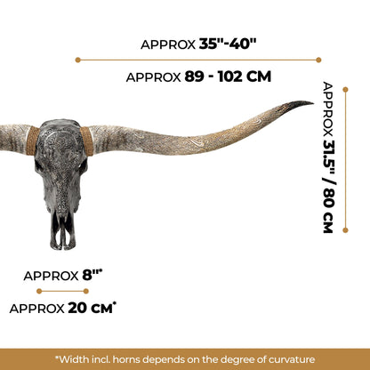 Hand Carved Longhorn Skull // XL Horns - Gray Yggdrasil