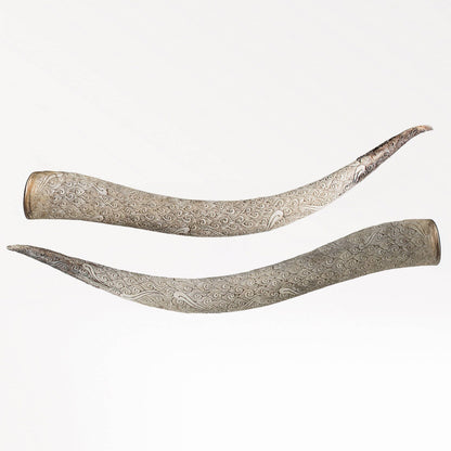 Longhorn Skull // XL Horns - Gray Storm
